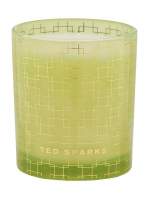 Ted Sparks Свеча ароматическая Иланг-иланг и бамбук Ylang-ylang Bamboo
